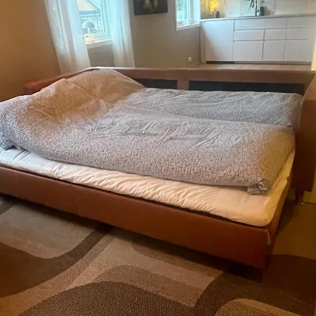 Midt I Sentrum Av Vakre 아파트 Hattfjelldal